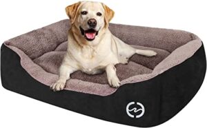 Best dog bed for Labrador