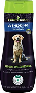 Best shampoo for Labrador