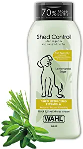 Best shampoo for Labrador