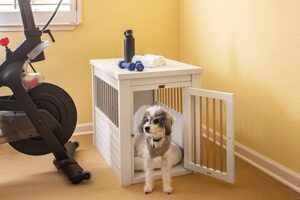 Best crate for labrador puppy