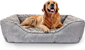 Best dog bed for Labrador
