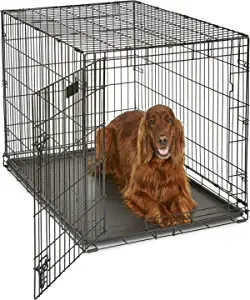 Best crate for labrador puppy