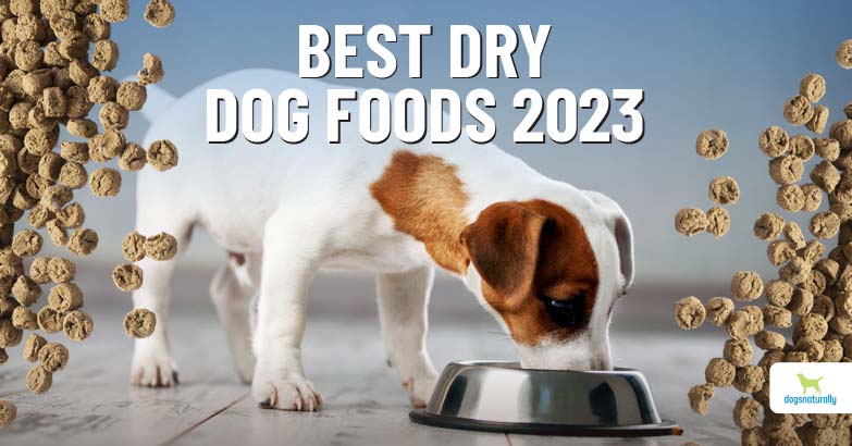 Best dry food for Labrador